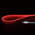 JTT USBネオンチューブライト (1m) レッド NEONLT1M-RD