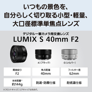 パナソニック デジタル一眼カメラ用交換レンズ LUMIX  Sシリーズレンズ シルバー S-S40-S-イメージ2