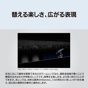 パナソニック デジタル一眼カメラ用交換レンズ LUMIX  Sシリーズレンズ シルバー S-S40-S-イメージ3