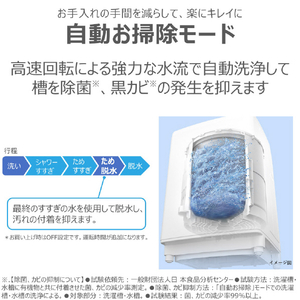 東芝 全自動洗濯機(インバーター洗濯機) ZABOON グランホワイト AW-12DPB6(W)-イメージ15