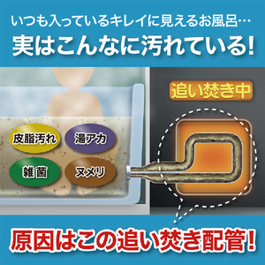 ピュアソン 風呂釜用洗浄剤ナイアガラーン 2回分セット ﾅｲｱｶﾞﾗ-ﾝ2ｶｲﾌﾞﾝ-イメージ4