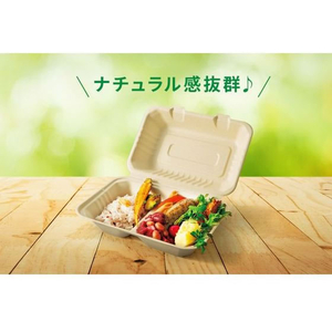 パックスタイル バガス容器 BBランチ 220-150 ラミ 50枚 FC327SH-00654680-イメージ10