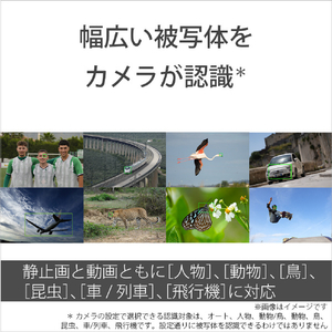 SONY コンパクトデジタルカメラ Cyber-shot DSC-RX10M5-イメージ12