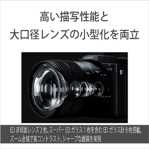 SONY コンパクトデジタルカメラ Cyber-shot DSC-RX10M5-イメージ5