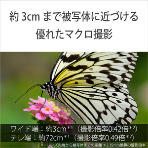SONY コンパクトデジタルカメラ Cyber-shot DSC-RX10M5-イメージ6