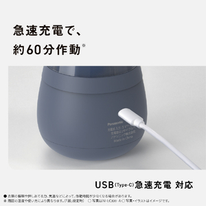 パナソニック 毛玉クリーナー ネイビー NI-LC300-A-イメージ12