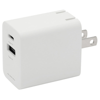グリーンハウス AC充電器 2ポート 20W ホワイト GH-JD2PA-WH