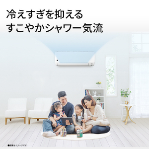 シャープ 「工事代金別」 14畳 エアコン プラズマクラスターエアコン DGシリーズ AY-U40DG2S-イメージ5