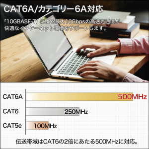 ホーリック LANケーブル UTP カテゴリー 6A(2m) LC20-579RB-イメージ3