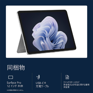 マイクロソフト Surface Pro 12 インチ プラチナ Snapdragon X Plus/8/256 プラチナ EP2-81991-イメージ20