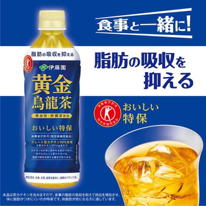 伊藤園 黄金烏龍茶 500mL FCA7411-イメージ2