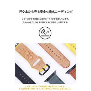 EGARDEN Apple Watch 42/41/40/38mm用バンド GENUINE LEATHER STRAP ディープグリーン EGD20603AW-イメージ12