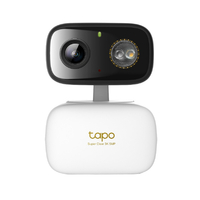 TP-Link 屋内外兼用 パンチルトWi-Fiカメラ 3K 500万画素 スマートAI検知 (人物・ペット・車・赤ちゃんの泣き声)デスク・壁面・天井・支柱に設置可能 IP65 TAPO C236