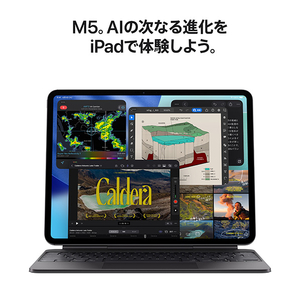 Apple 13インチiPad Pro Wi-Fiモデル 2TB(Nano-textureガラス搭載) 13インチiPad Pro Wi-Fiモデル シルバー MDYW4J/A-イメージ4