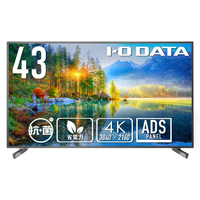 I・Oデータ 43型4K対応液晶ディスプレイ 抗菌モデル（受注生産） LCD-U431D-AG