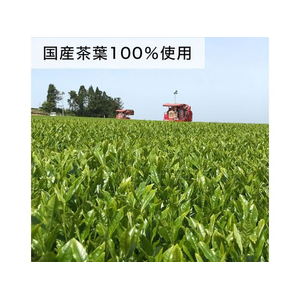 伊藤園 お～いお茶 濃い茶 350mL FCV1513-イメージ4