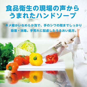 サラヤ ハンドラボ 薬用泡ハンドソープ 詰替用 250mL FC329MT-イメージ5