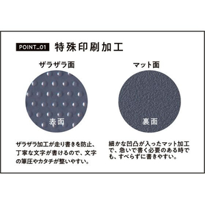 レイメイ 大人の魔法のザラザラ下じき B5 FCD904L-U1256N-イメージ5