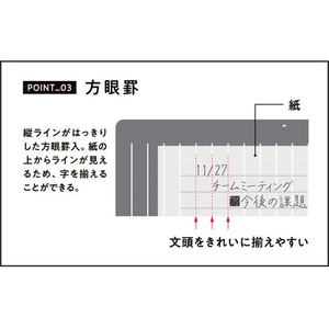 レイメイ 大人の魔法のザラザラ下じき B5 FCD904L-U1256N-イメージ6