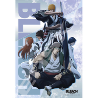 エンスカイ 300-3162 BLEACH 千年血戦篇 -相剋譚- AT3003162BLEACHｿｳｺｸﾀﾝ