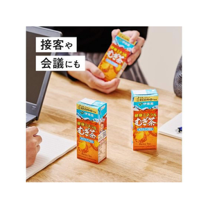 伊藤園 健康ミネラルむぎ茶 250mL 1本 F852095-イメージ4
