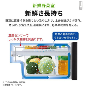 三菱 【フレンチドア】495L 6ドアノンフロン冷蔵庫 JWシリーズ 中だけひろびろ大容量 JWシリーズ ロイヤルウッド MR-JW50N-M-イメージ15