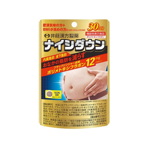 井藤漢方製薬 ナイシダウン 251mg×60粒 FC959MS-イメージ1