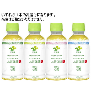 伊藤園 お茶体験 200mL F385693-62067-イメージ1