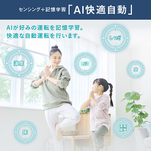 ダイキン 「工事代金別」 8畳 フィルター自動清掃 省エネハイパワーエアコン スゴ暖（暖房強化） Dシリーズ AN256ADS-WS-イメージ16