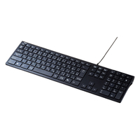 サンワサプライ USBスリムキーボード ブラック SKB-SL33BK