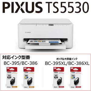 キヤノン インクジェット複合機 PIXUS TS5530 PIXUS ホワイト TS5530-イメージ9