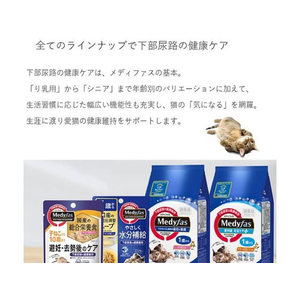 ペットライン メディファス 7歳から チキン味 3kg (500g×6) FCB5428-イメージ4