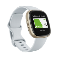 Fitbit スマートウォッチ L/Sサイズ Sense 2 Blue Mist/Pale Gold FB521GLBM-FRCJK
