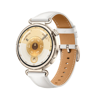 HUAWEI WATCH GT6 41mm /White KSU-B19-WH