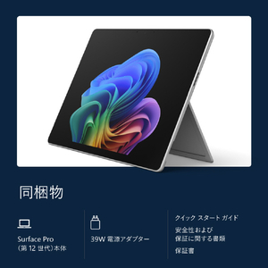 マイクロソフト Surface Pro(第 12 世代) 13インチ Snapdragon  X2 Plus/16/256 プラチナ EP2-71937-イメージ17