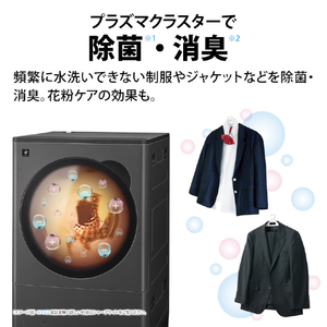 シャープ 【右開き】10kgドラム洗濯機 グレイングレー ES-10L2-HR-イメージ13