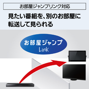 パナソニック 1TB HDD内蔵ブルーレイレコーダー DIGA DMR-2W103-イメージ12