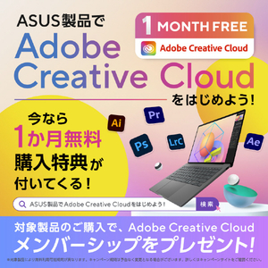 ASUS ASUS Zenbook SORA 16 (UX3607OA) ノートパソコン アイスランドグレー UX3607QA-PU16570GR-イメージ15