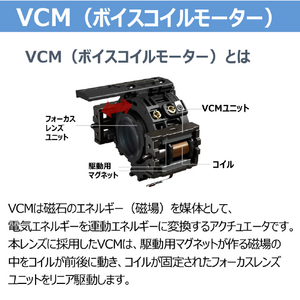 キヤノン RF85mm F1．4 L VCM RF8514LVCM-イメージ6